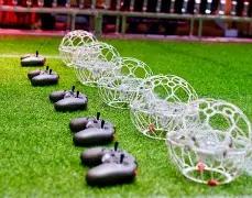 年复旦大学,在上海市大,学生田径联,爱游戏app,爱游戏官网,爱游戏体育官网,爱游戏体育app